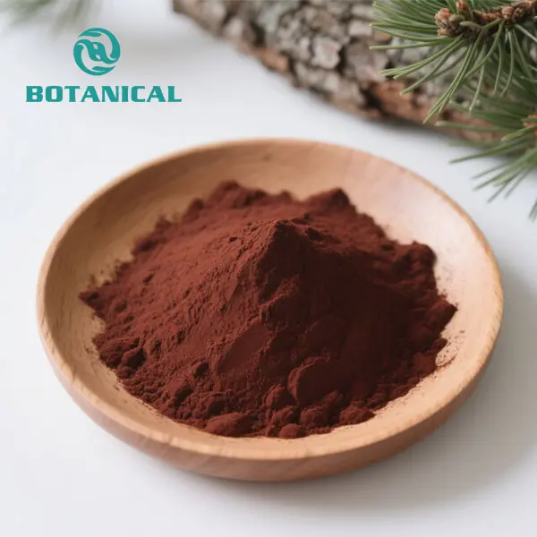 High-Quality French Maritime Pine Tree Bark Extract Powder Suppliers, Factories