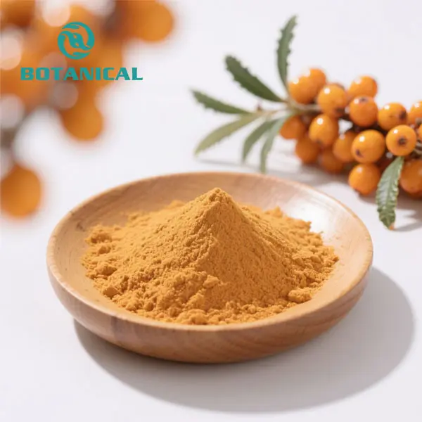 High-Quality Sea Buckthorn Hippophae Rhamnoides Powder Supplier, Manufacturer