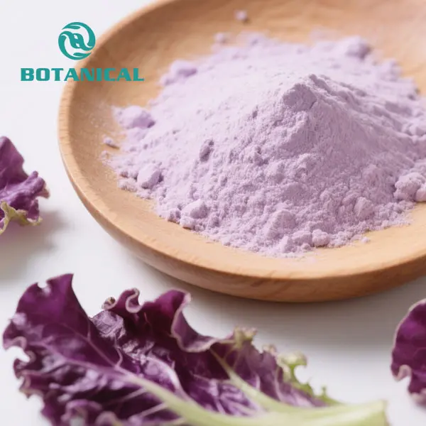 ODM Purple Cabbage Extract Powder Factories, Factory