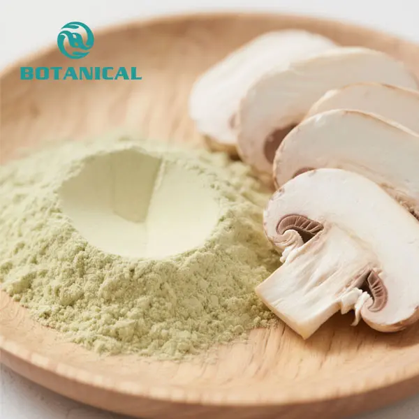 High-Quality Oyster Mushroom Extract Supplier, Factory