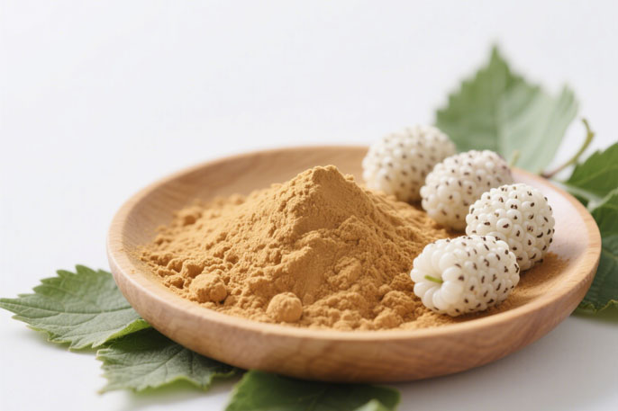 Morus Alba White Mulberry Powder 2