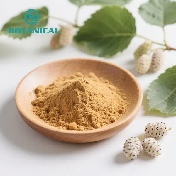 OEM Morus Alba White Mulberry Powder Supplier, Manufacturers