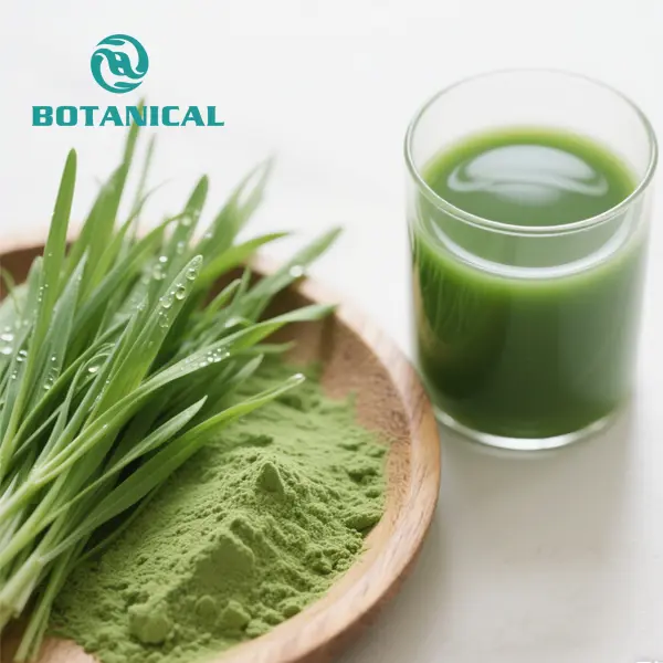High-Quality Organic Wheatgrass Juice Powder Bulk Suppliers, Manufacturers