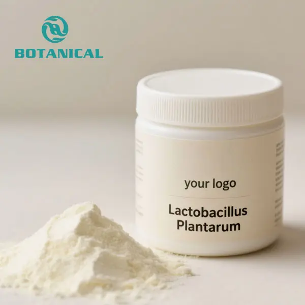 ODM Lactobacillus Plantarum Powder Manufacturers, Factory