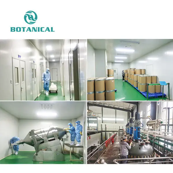 High-Quality superfood moringa powder Factories, Factory