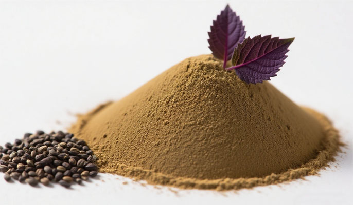 perilla seed extract 2