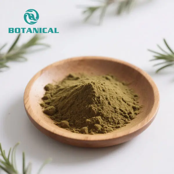 ODM Pure Rosmarinic Acid Rosemary Leaf Extract Powder Suppliers, Manufacturers