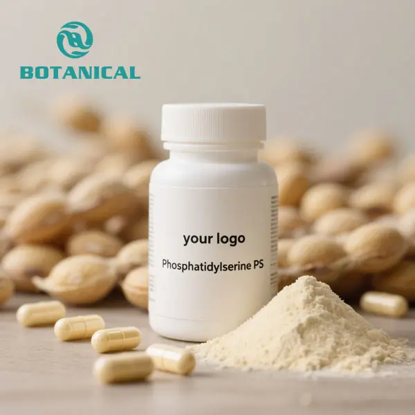 OEM Phospholipid Lecithin Phosphatidylserine (PS) Powder Manufacturer, Factory