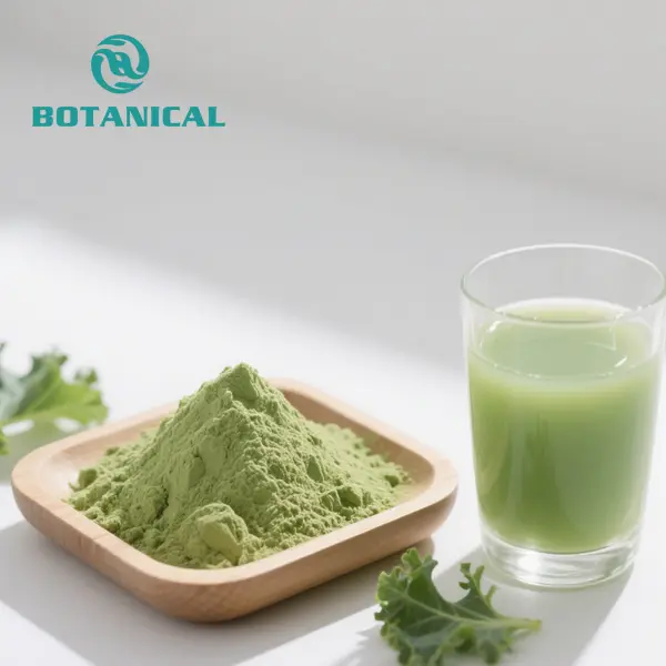 High-Quality 100% Pure Organic Kale Leaf Bulk Powder Manufacturer, Factories