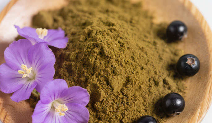 chasteberry extract 2