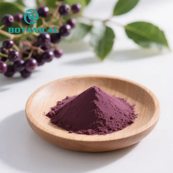 Wholesale Organic Black Elderberry Extract Powder Manufacturers, Factory