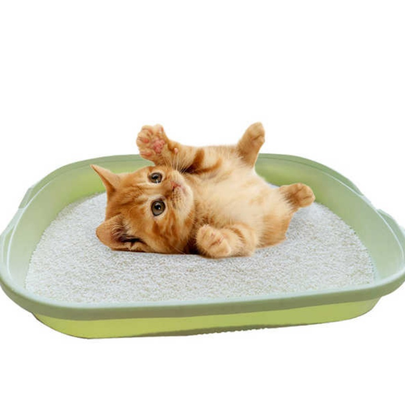 Arena Para Gatos Absorção de Água Livre de Poeira Produtos para Animais de Estimação à Base de Plantas Natural de Mandioca