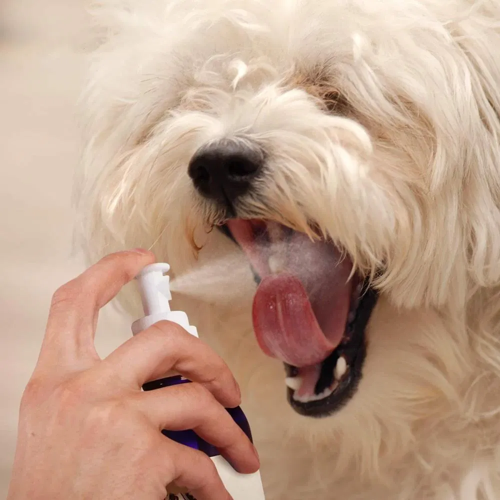Spray Eliminador de Odor para Animais de Estimação de Grande Capacidade Atacado 250ml Marca Própria