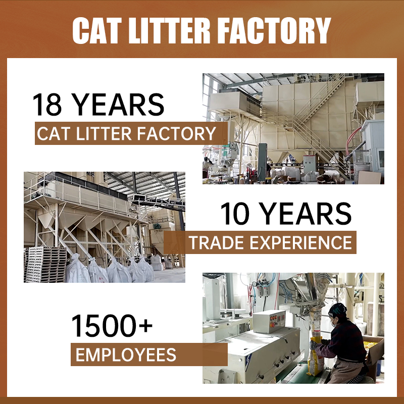 72-Hour Eliminação de Odor com Areia para Gato de Carvão Ativado de Bambu Captura Molecular de Odor