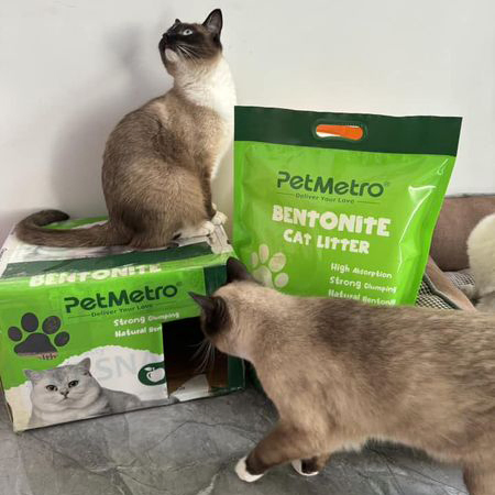 Areia para Gato Premium Absorvente Feita de Materiais Naturais para Pedidos de Grande Volume de Areia para Gato
