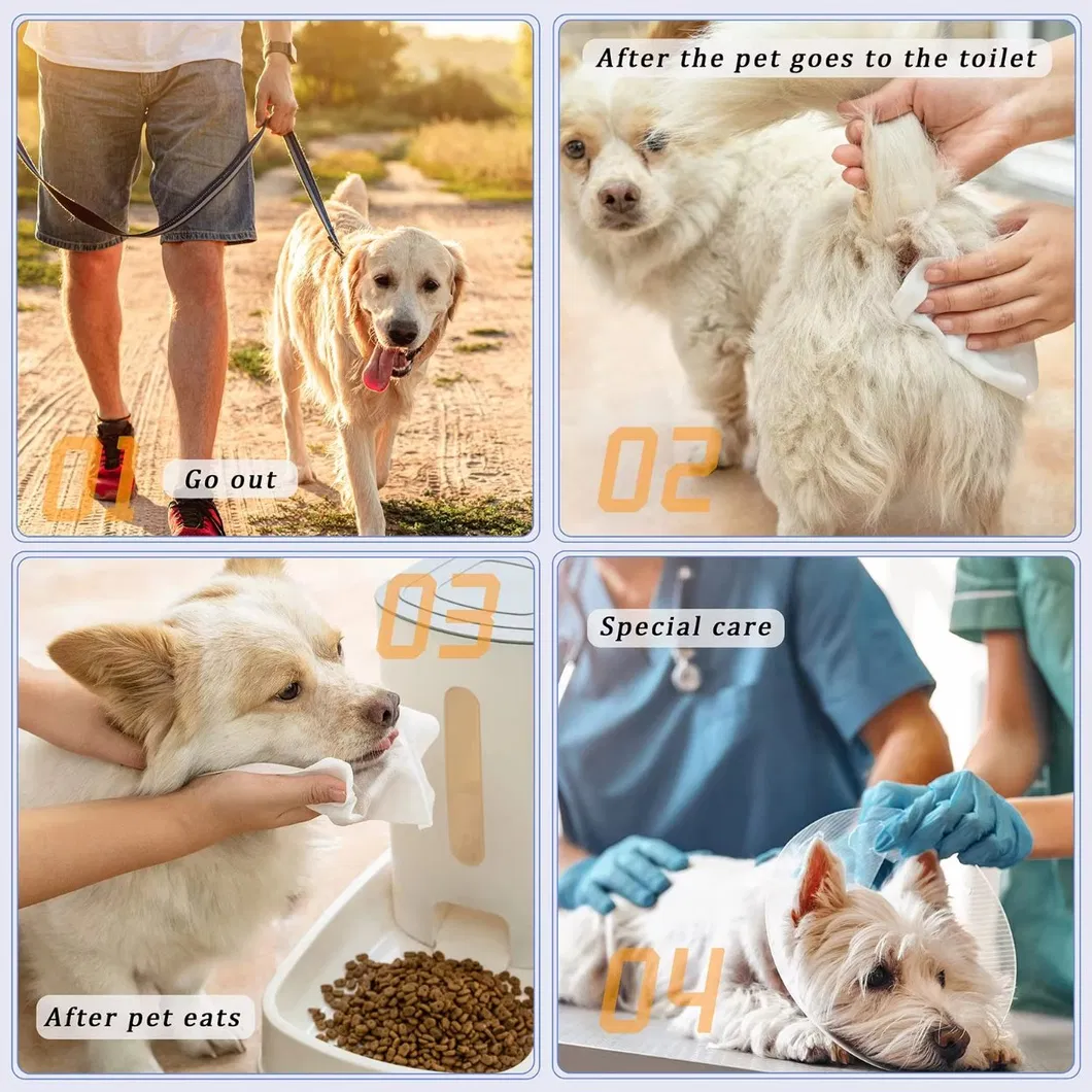 Fabricante de Toalhetes Não Tecidos Personalizados OEM para Limpeza de Patas de Cães, Toalhetes para Animais de Estimação para Cães e Gatos