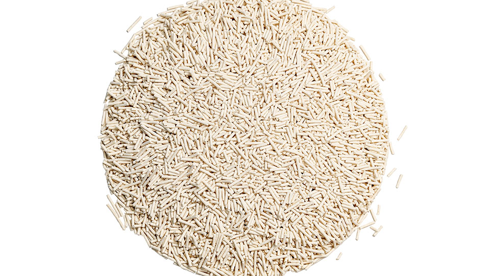 Instalações Globais Bubba Pets - Exportação Internacional de Produtos Pet
