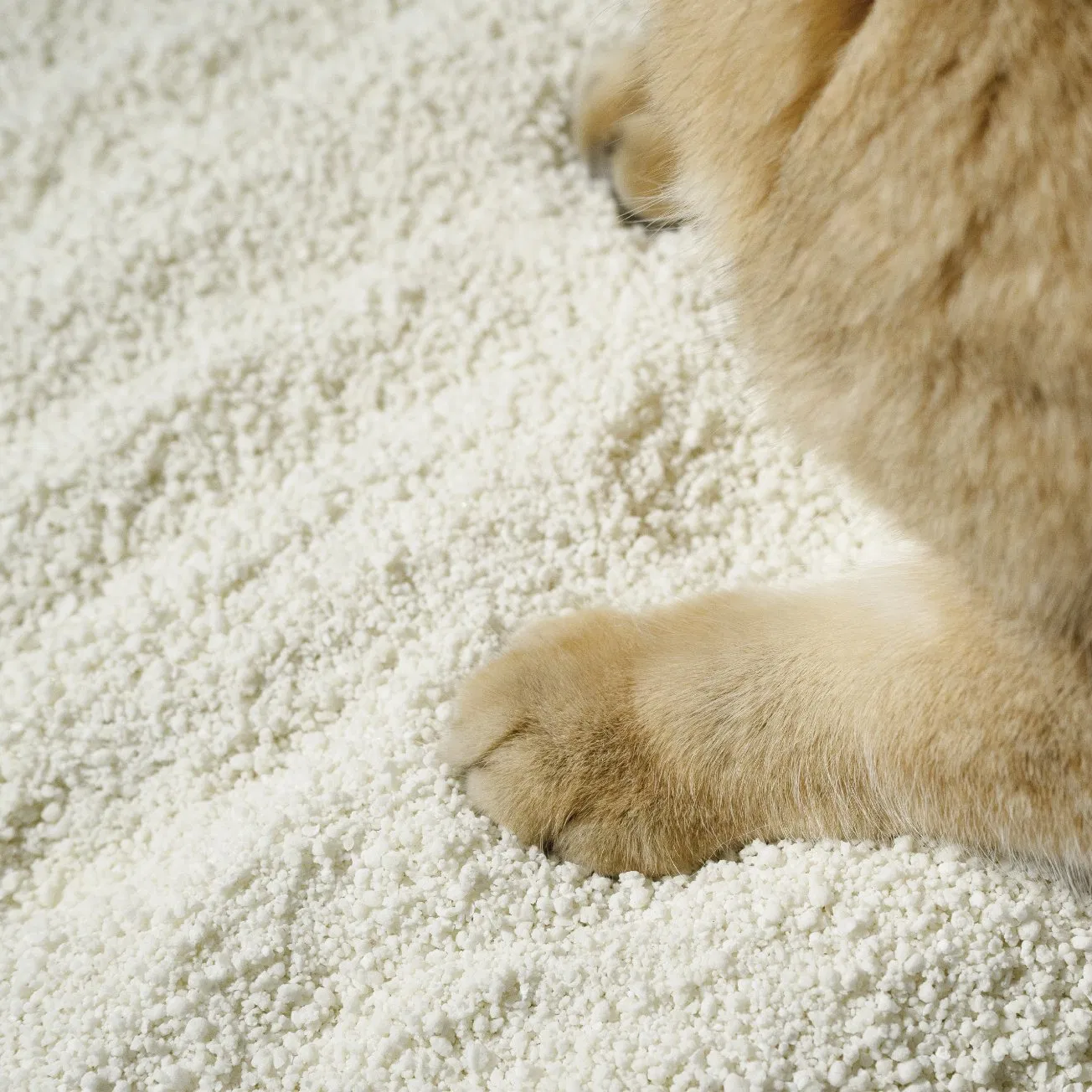 Amostras Grátis de Areia para Gato de Cassava Natural Premium Baseada em Plantas Desodorizante Rápido Sem Poeira Ecológica Limpeza Fácil