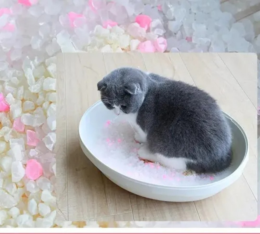 Areia para Gato de Cristal Feita de Gel de Sílica para Controle Superior de Umidade