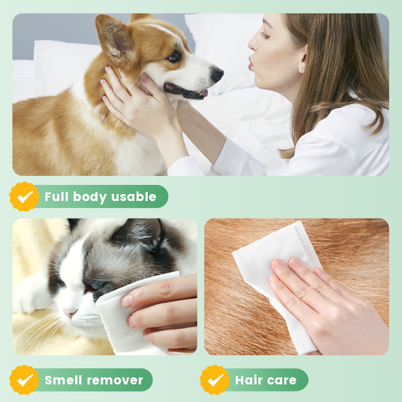 Toalhetes Úmidos Biodegradáveis Multipropósito para Limpeza e Higiene de Cães e Gatos em Ambientes Internos
