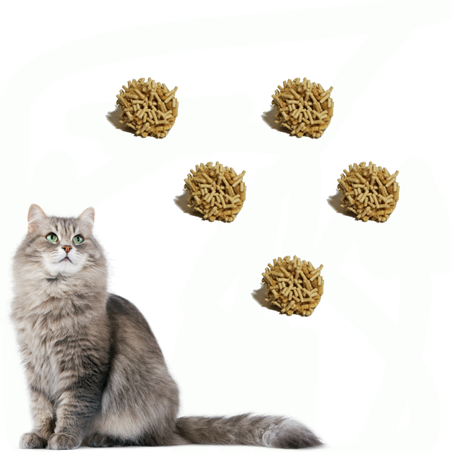 Fabricante Atacado Natural Saudável Areia para Gato à Base de Milho Absorvente de Água e Aglomerante Sem Sabor