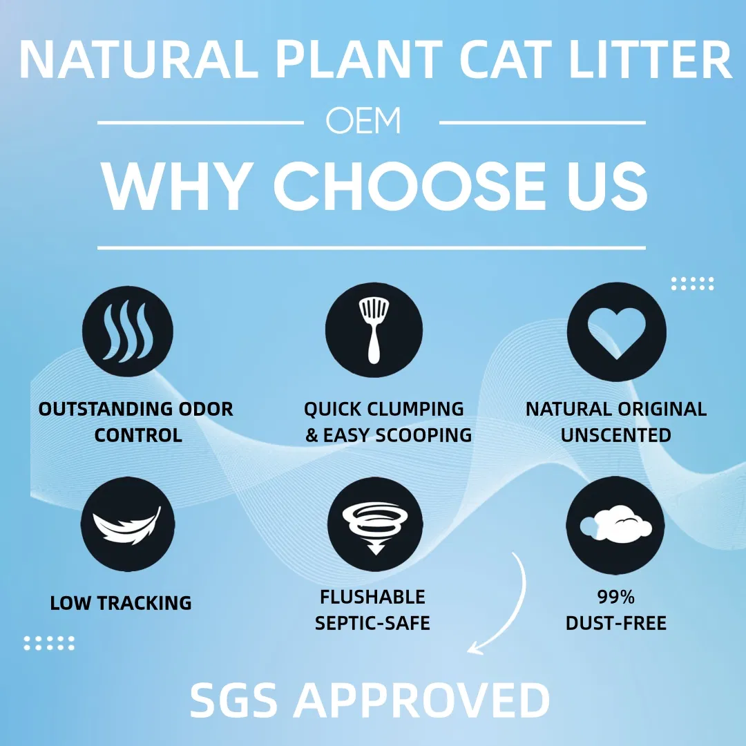 Areia para Gato Natural à Base de Cassava e Bambu com Melhor Controle de Odor, Baixo Consumo, Baixo Desperdício e Agregação Rápida