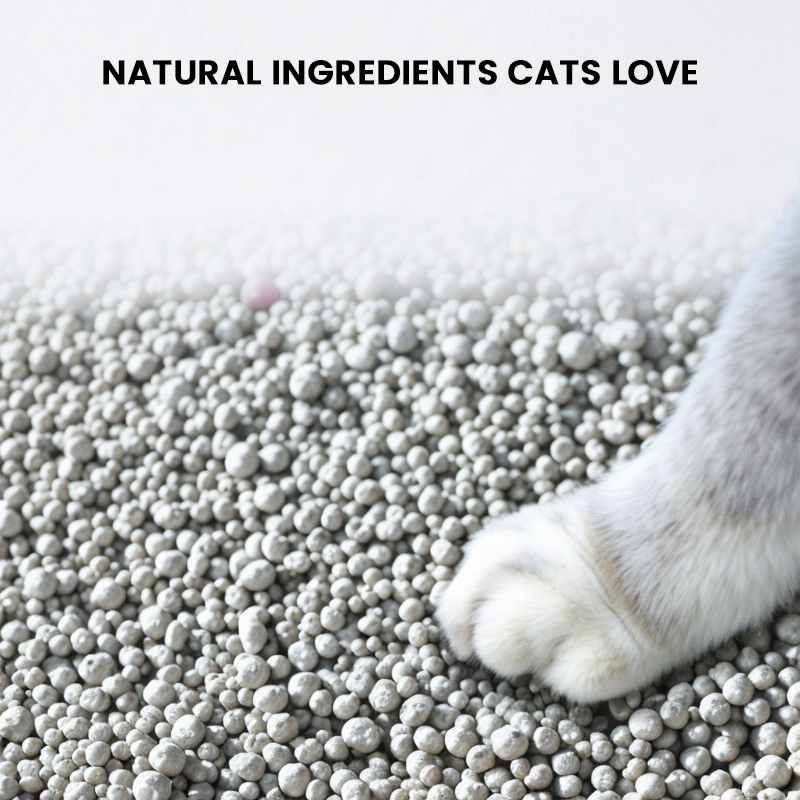 Produto para controle de odor forte feito na China, areia para gatos de bentonita para gatos internos e abrigos, feito de 100% argila natural com aglomeração rápida