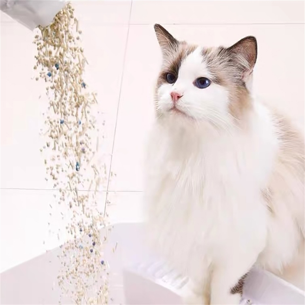 Venda Quente Natural Ecológico Controle de Odor Duradouro Agregado Firmemente Mistura de Tofu e Bentonita Areia para Gato