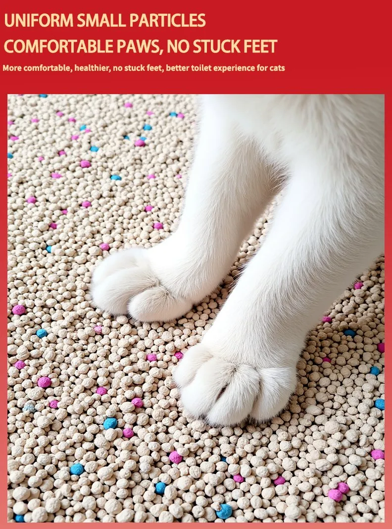 Detalhe Areia para Gato