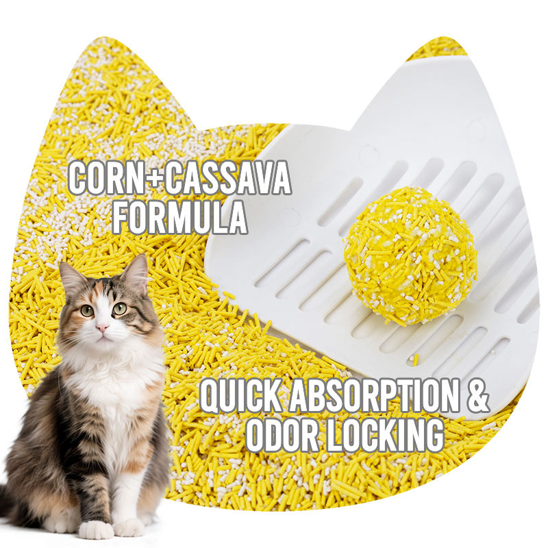 Amostras Grátis Disponíveis do Fabricante, Premium Areia para Gato de Limpeza Fácil à Base de Plantas, Areia para Gato Orgânica de Milho e Tapioca
