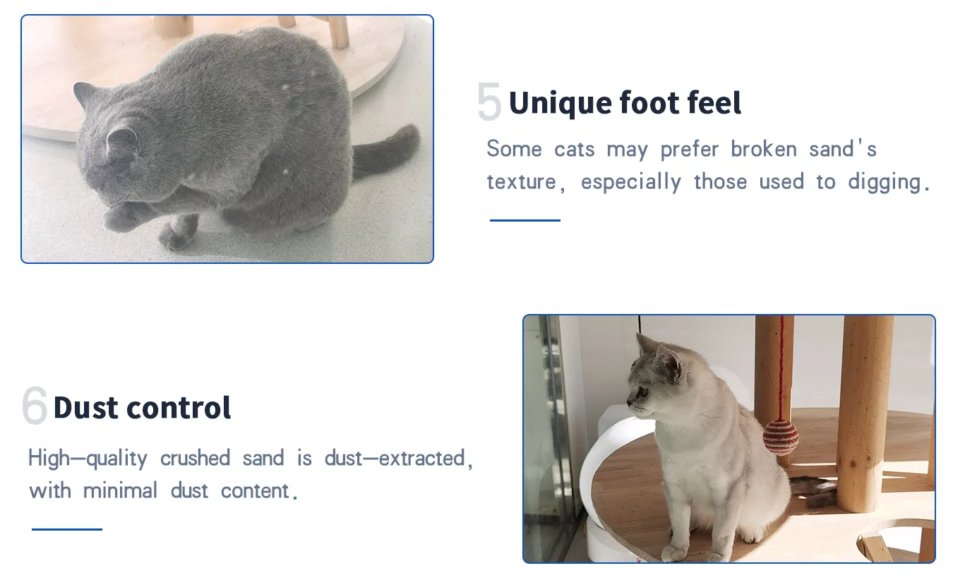 Mistura de Areia para Gato com Alta Agregação e Baixa Emissão de Poeira