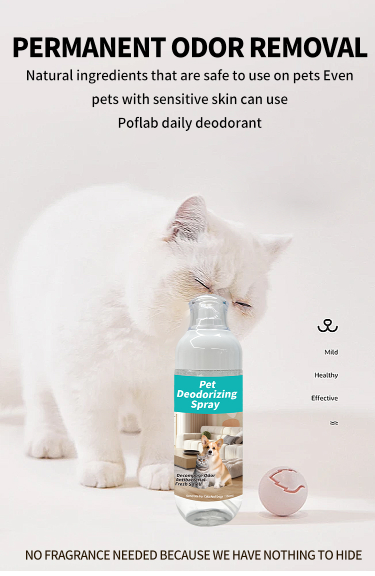Spray Eliminador de Odor