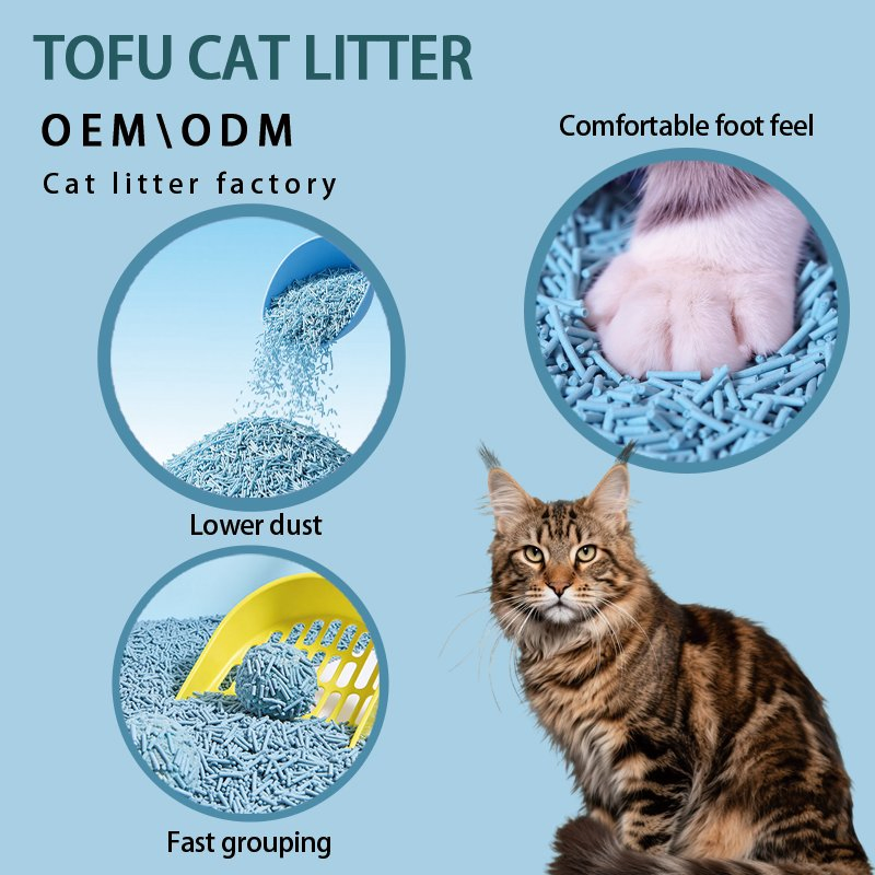 Areia de Gato de Fibra de Milho a Granel Controle de Odor Sem Rastreio Agregante Pequena Seção Economia de Areia Vários Odores Areia de Gato de Tofu