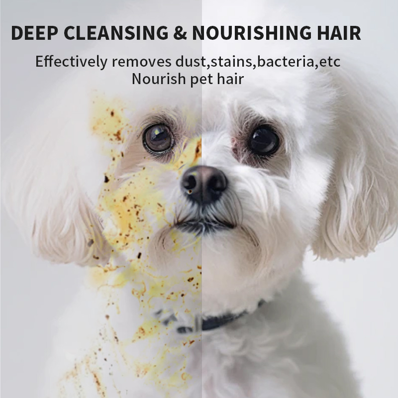 Toalhetes de Limpeza Dental de Alta Qualidade para Animais de Estimação Cuidado Oral para Cães Limpador de Dentes para Gatos Toalhetes Úmidos para os Dedos 6-Piece Caixa