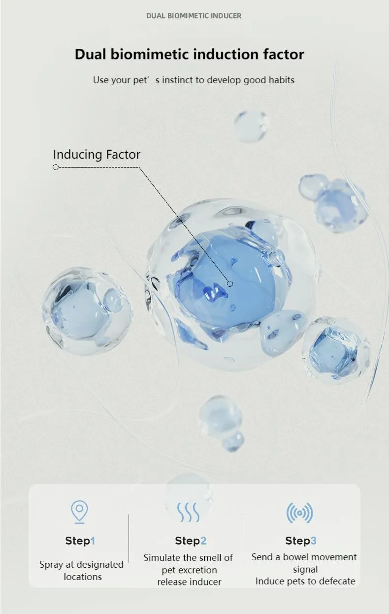 Spray de treinamento interno e externo