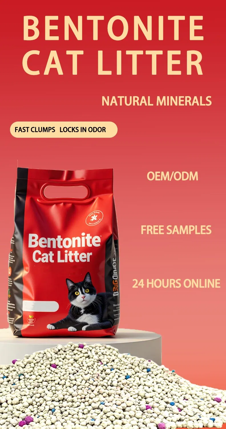Detalhe Areia para Gato