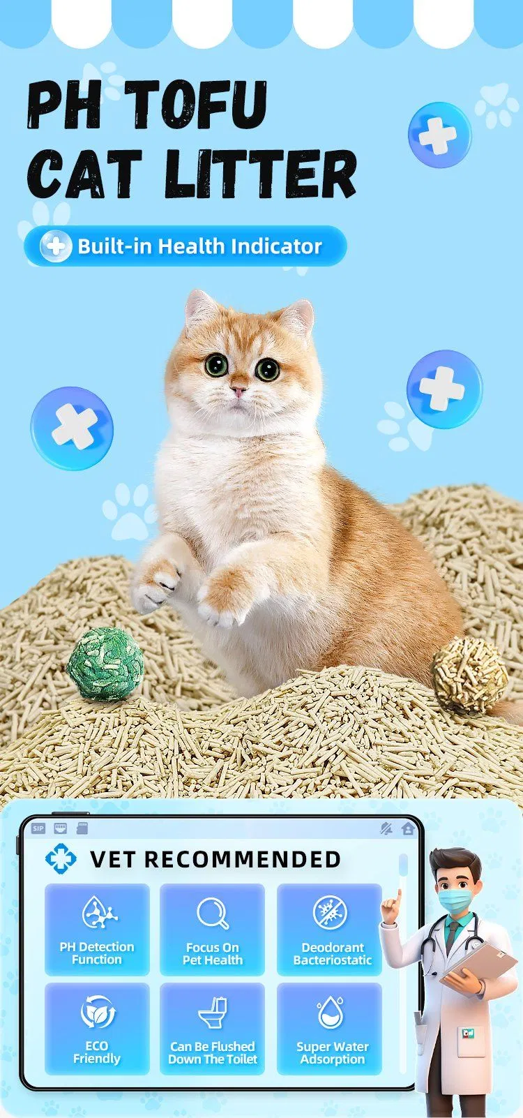 Detalhe Areia de Gato 2