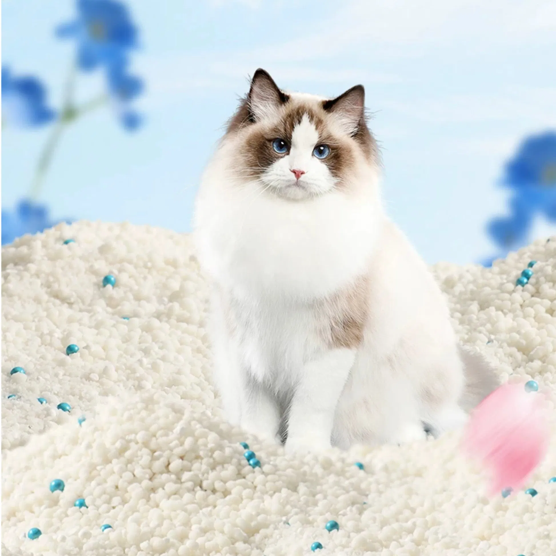 Areia para Gato Premium Atacadista Feita de Materiais Vegetais Naturais