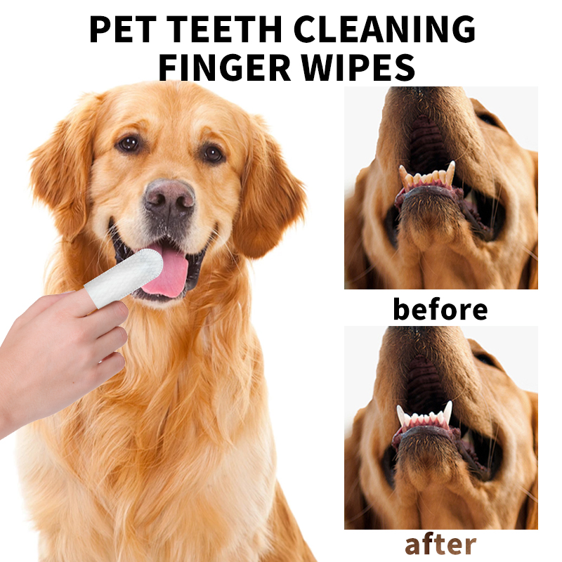 Toalhetes Umidificados para Limpeza Dental de Cães e Gatos, Removendo Tártaro