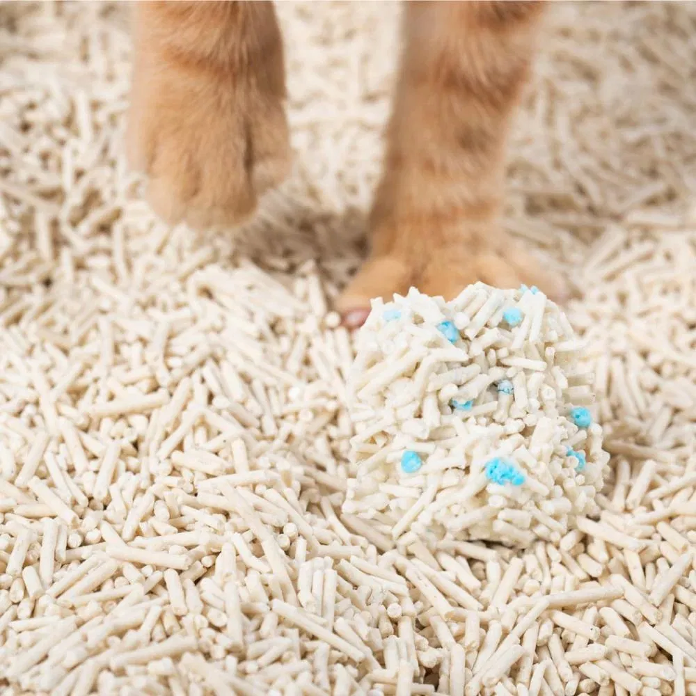 Areia para Gato Flushable a Granel Mistura de Tofu 99% Livre de Poeira de Planta Agregadora 4lb 12lb Direto da Fábrica