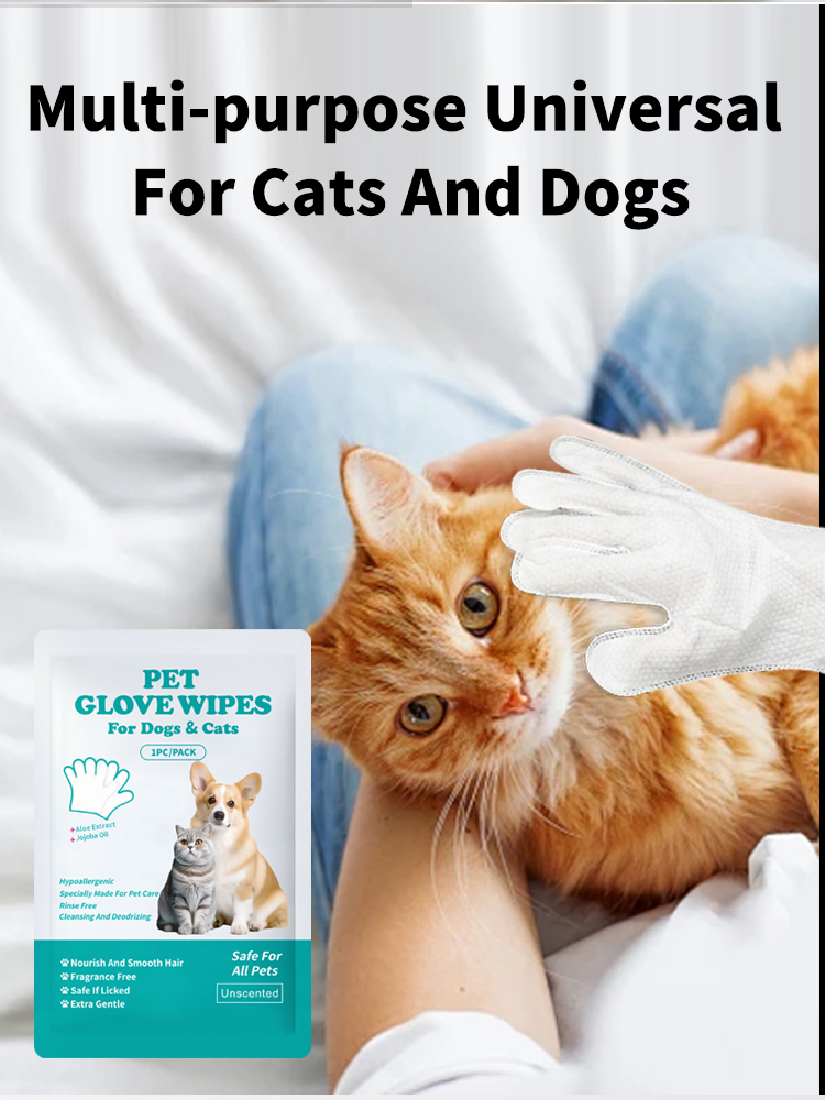 Toalhetes de Limpeza Dental de Alta Qualidade para Animais de Estimação Cuidado Oral para Cães Limpador de Dentes para Gatos Toalhetes Úmidos para os Dedos 6-Piece Caixa