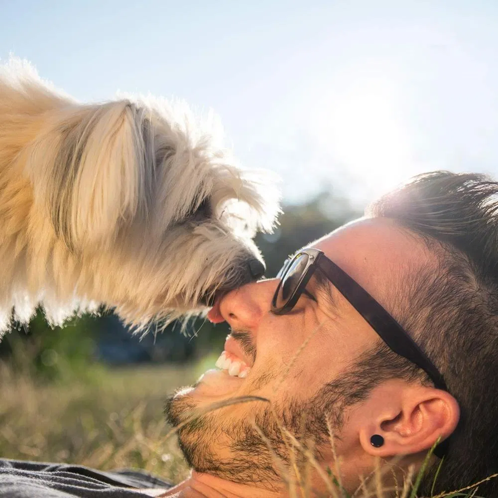 Spray Eliminador de Odor para Animais de Estimação de Grande Capacidade Atacado 250ml Marca Própria