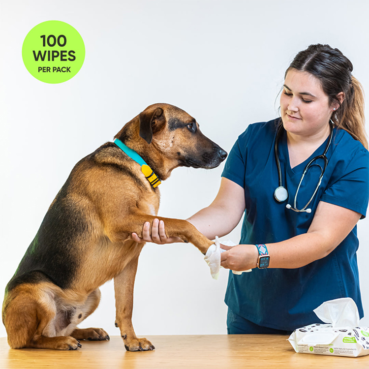 Biokleen Lenços de Limpeza de Olhos para Animais de Estimação de Bambú Biodegradáveis com Vitamina E para Filhotes Marca Própria
