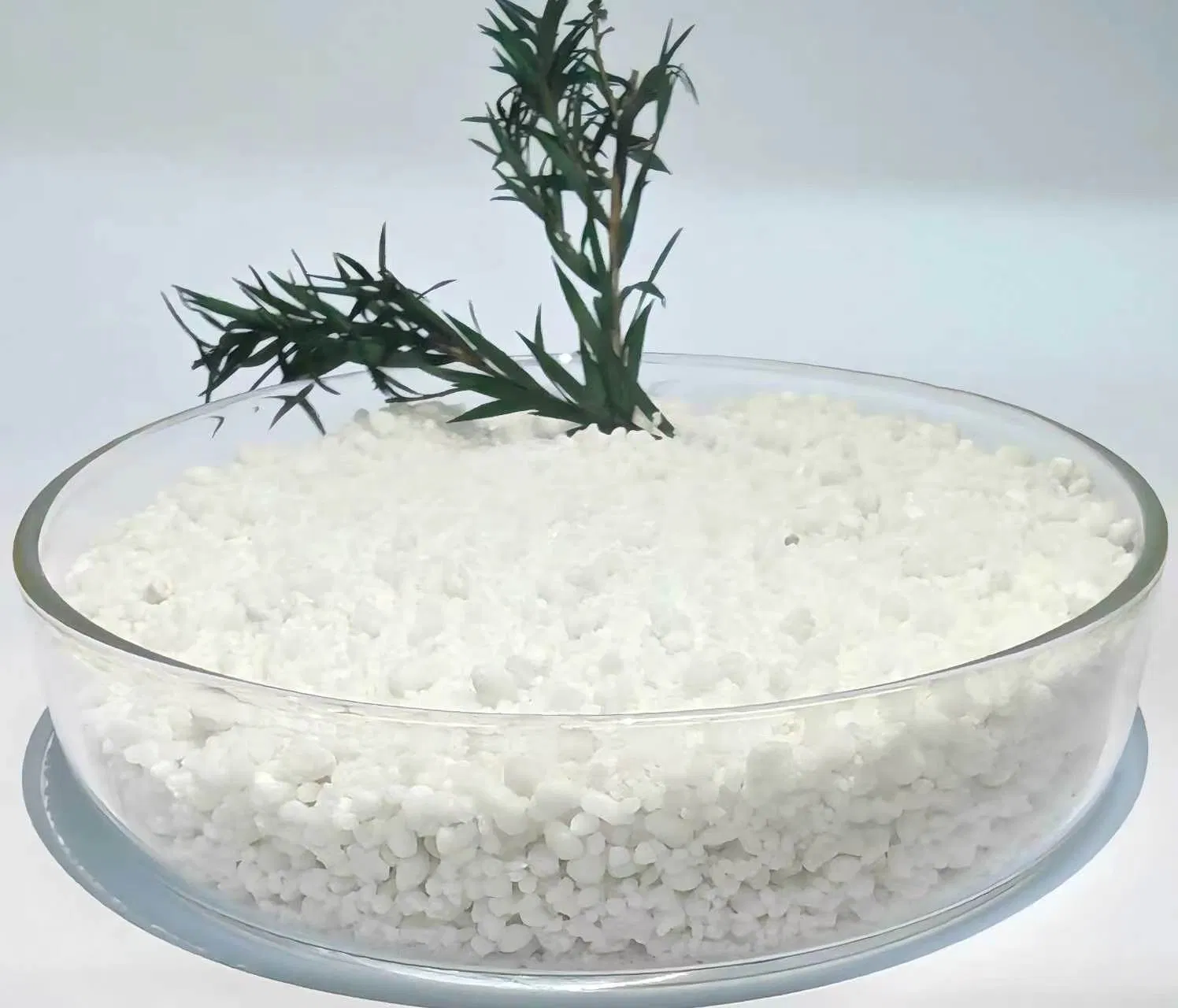 Areia de Cassava à Base de Plantas Sem Poeira com Aroma Suave - Agregação Sólida, Eliminação de Odor a Longo Prazo, Fácil de Remover Areia para Gatos de Cassava