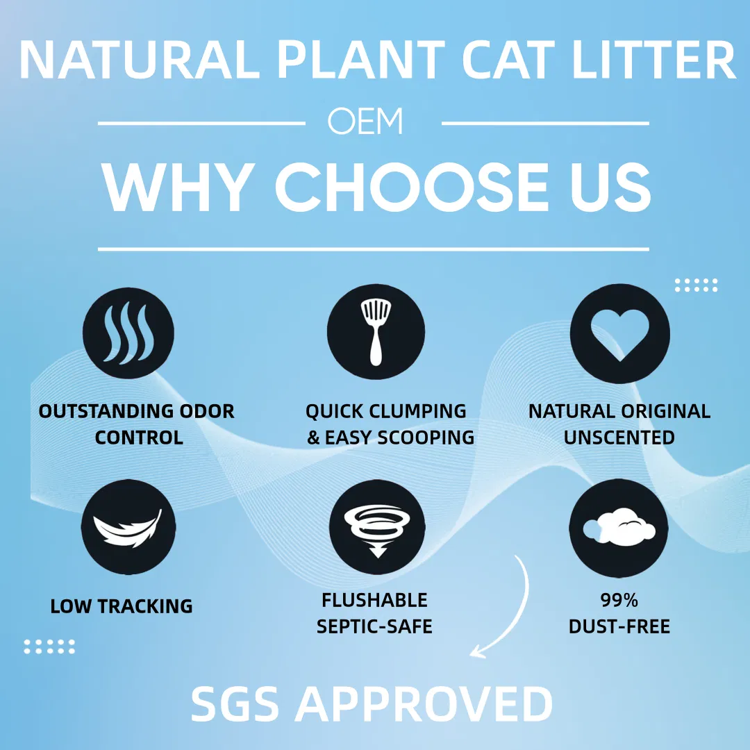 Areia para gatos personalizada de fábrica, excelente absorção, flushable, feita de mandioca com efeito de aglomeração, feita de plantas naturais