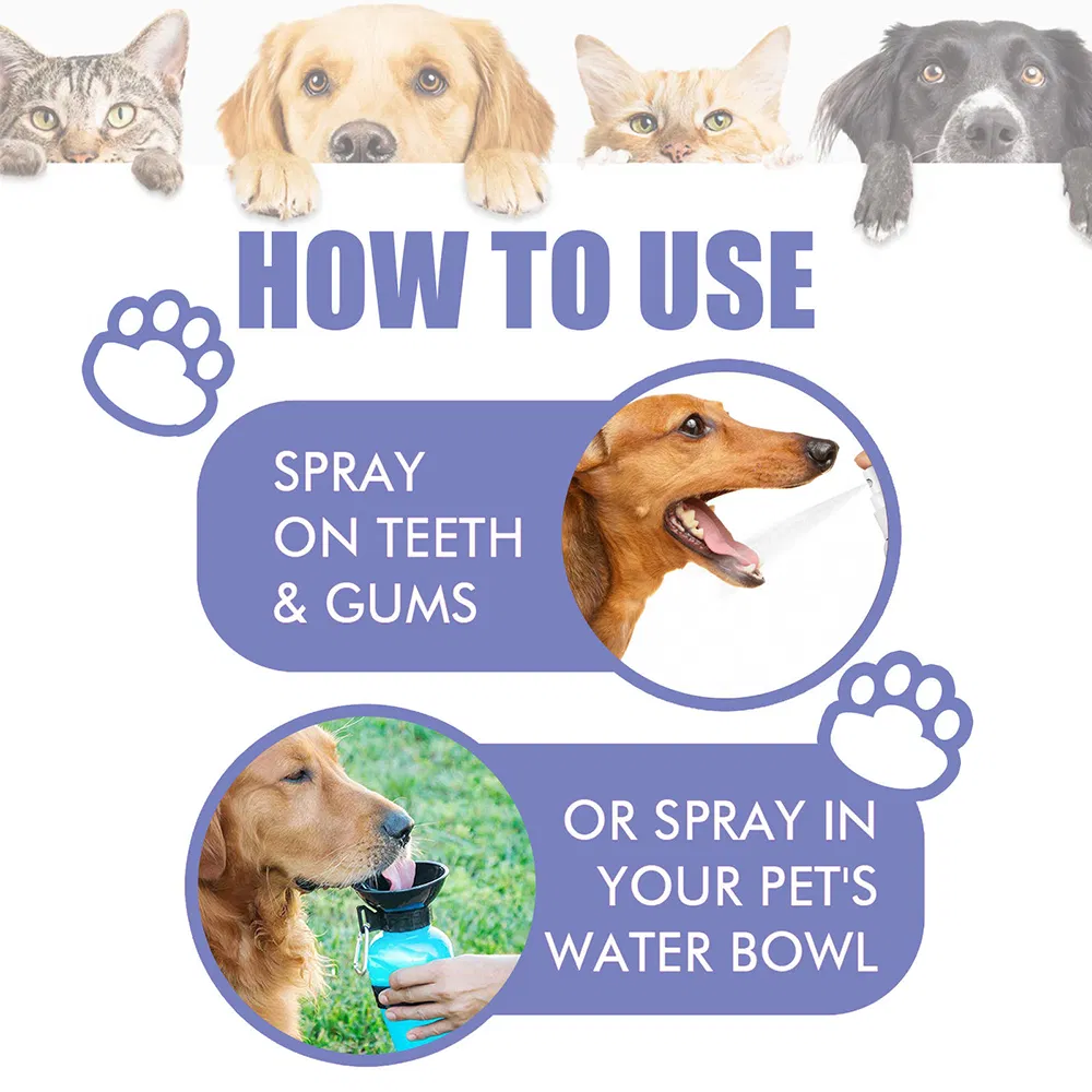 Spray Eliminador de Odor para Animais de Estimação de Grande Capacidade Atacado 250ml Marca Própria