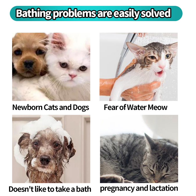 Toalhetes de Limpeza Dental de Alta Qualidade para Animais de Estimação Cuidado Oral para Cães Limpador de Dentes para Gatos Toalhetes Úmidos para os Dedos 6-Piece Caixa