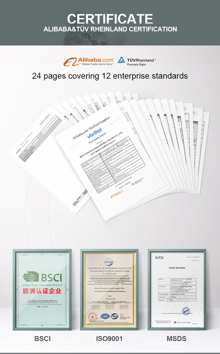 Certificado 1
