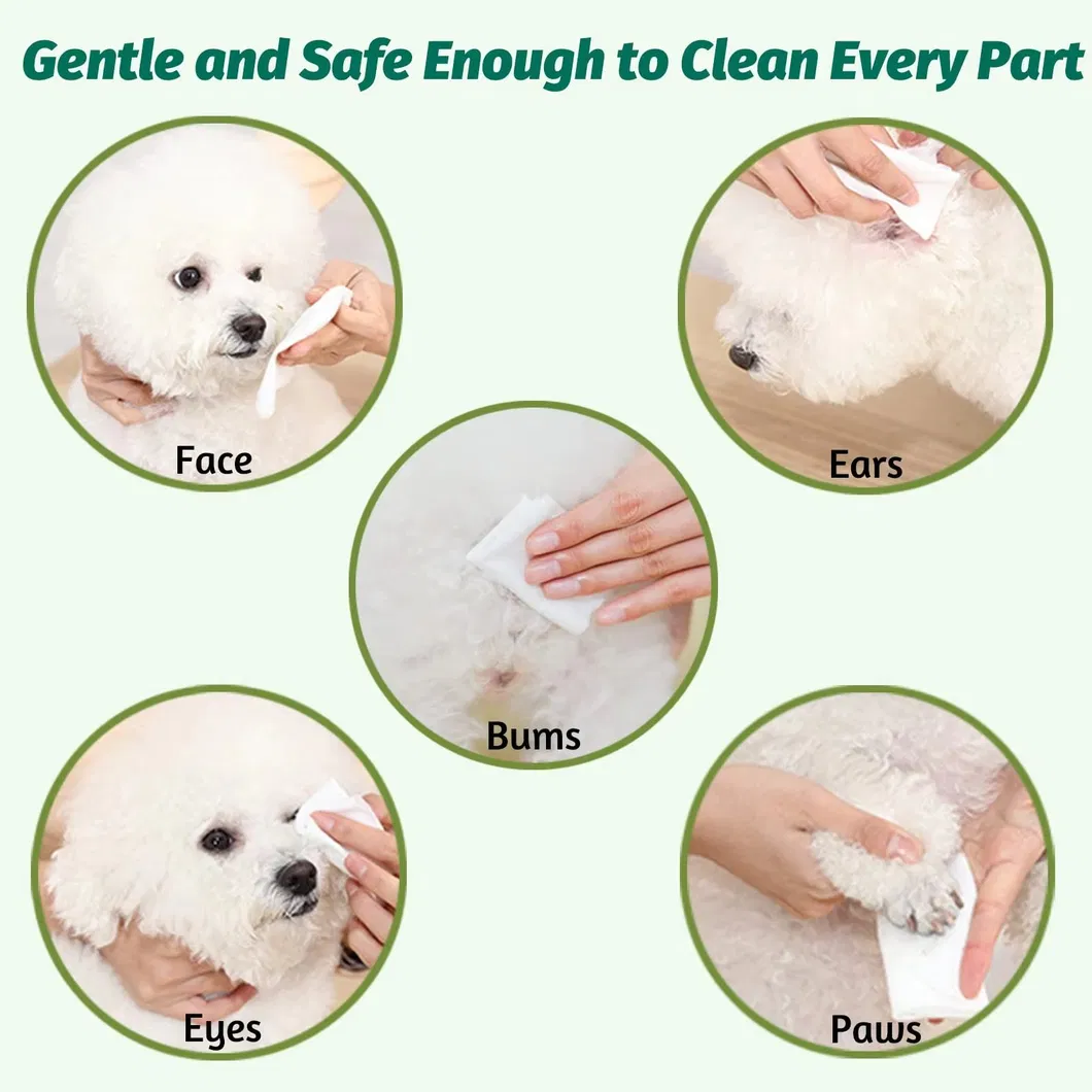 Fabricante de Toalhetes Não Tecidos Personalizados OEM para Limpeza de Patas de Cães, Toalhetes para Animais de Estimação para Cães e Gatos