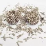 Areia para gatos de tofu de café